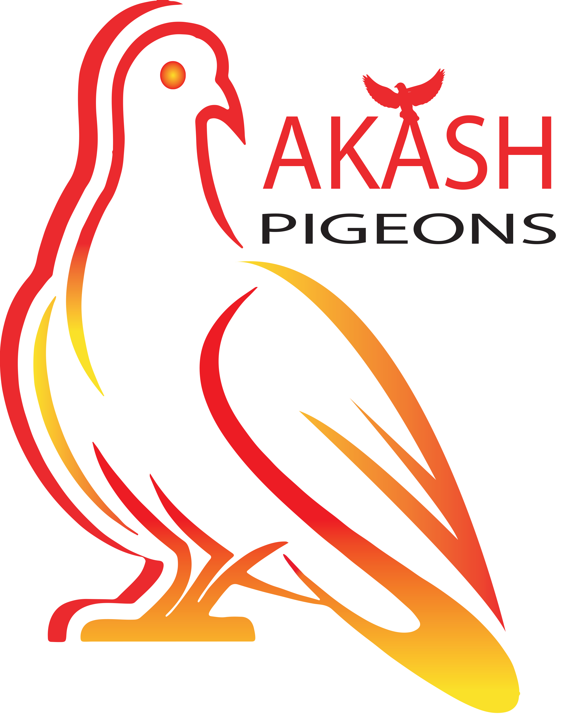 AkashPigeons